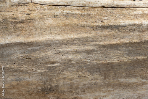 texture background of a brown wood