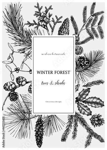 Christmas greeting card or invitation design. Vector frame with hand drawn conifer and winter plants sketches. Vintage background with pine, spruce, cypress, fir, larch and juniper illustration.