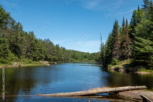 Φωτογραφία Tranquil scenery of Algonquin provincial park, Ontario, Canada