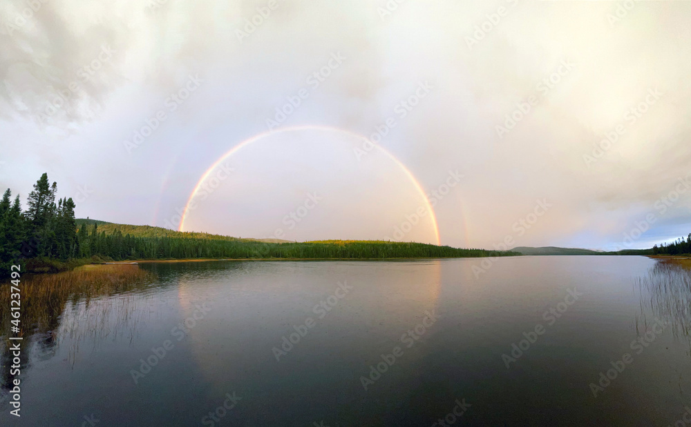 Naklejka premium un arc-en-ciel sur le lac dans la forêt