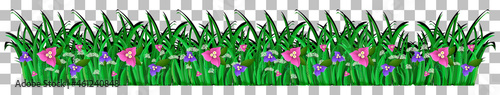 Grass and plants on transparent background for decor