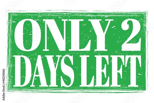 ONLY 2 DAYS LEFT  words on green grungy stamp sign
