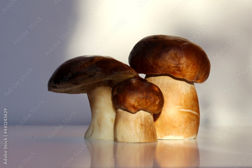 mushrooms on a table mushrooms on a table