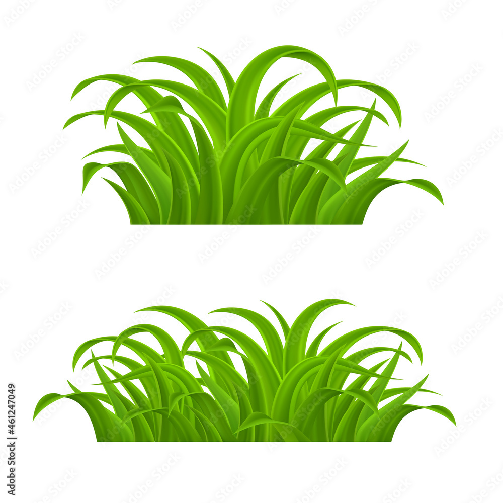Green grass Elements for Spring or Nature Design. Illustration on White Background for Creative Ideas. Grass with Refractions, Natural Border for Decoration in Your Works