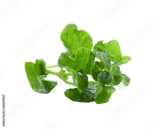 Fresh watercress isolated on white background.
