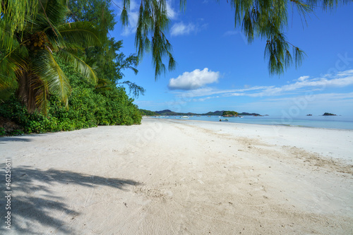 beach  tropical beach  seychelles  anse volbert  cote d or  sun  tropical island   water  palm tree  palms  granite rocks  palm trees  palm  sand  rocks  postcard    tropical  scenic  praslin  island 