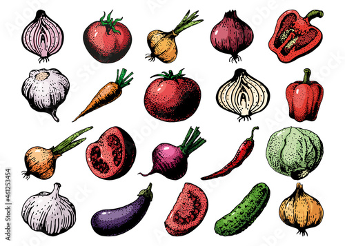 set of vegetables drawing sketch color, vector