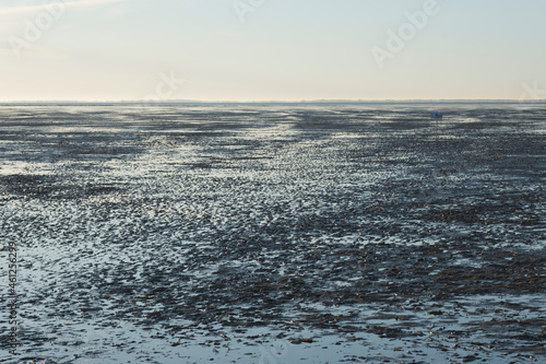 Ebbe im Nationalpark Niedersächsisches Wattenmeer, Ostfriesland, Niedersachsen, Deutschland, Europa