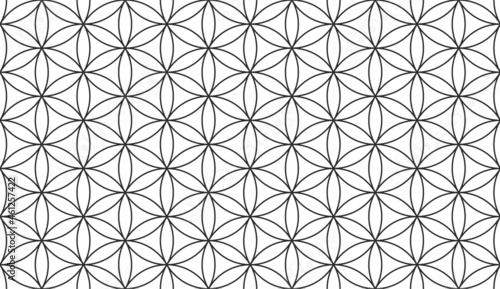 Flower of Life - Endless Vector Background