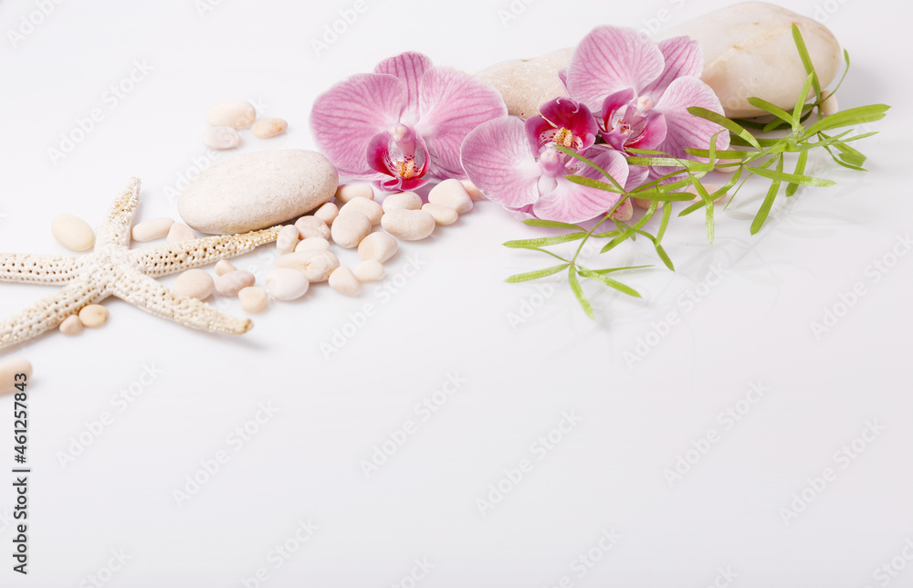 Spa background with stones and purple orchid on white