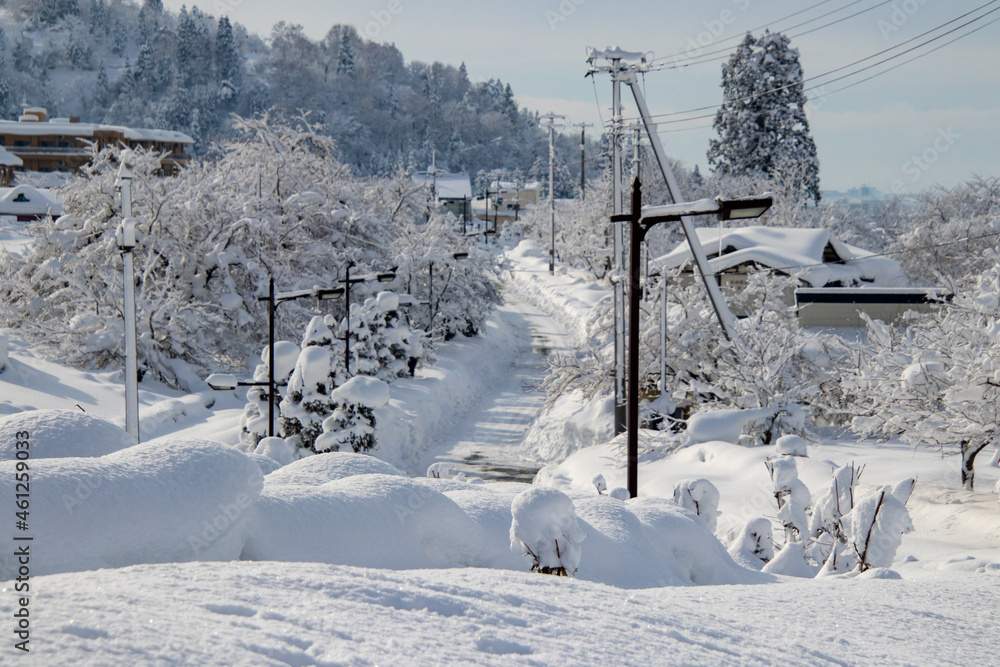 Obraz premium 雪国の景色 除雪された道
