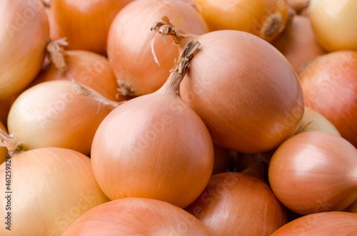 Large onion background.