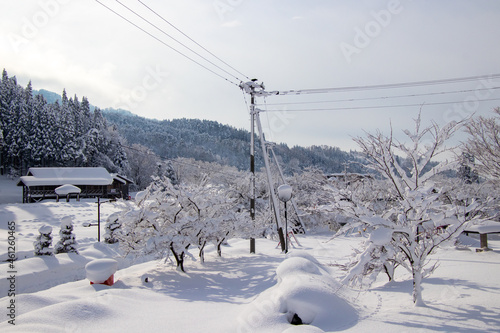 綺麗に雪化粧した公園 © 白太郎