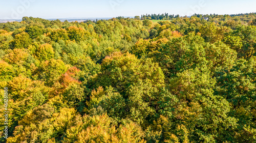 Aerial top view on autumn forest trees in the Carpathians.