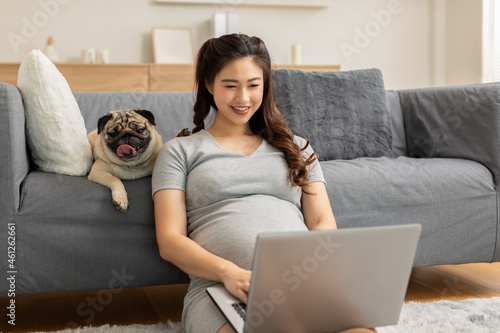 Pregnant business woman sitting working on laptop with cute dog pug breed at home,Pregnant woman using laptop for shopping online and relax in social media platform with pet,Pregnancy and Dog Concept