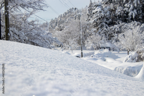 綺麗に光る雪の結晶