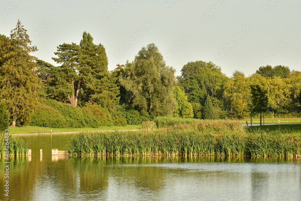 Les feuillages des arbres au début de l'automne autour des étangs du parc de Tervuren à l'est de Bruxelles
