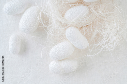 silk cocoons the commercially bred caterpillar of silkworm moth