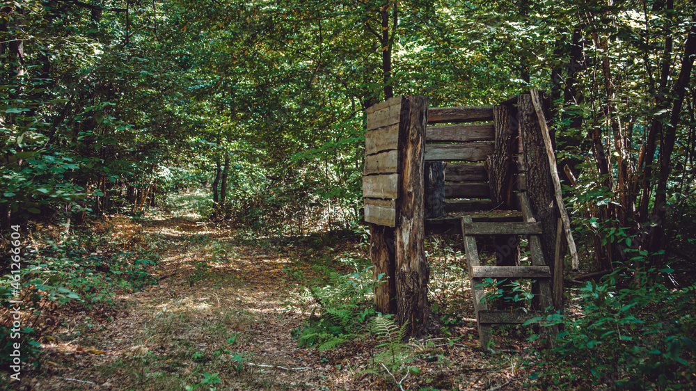 A hunting tower for hunting animals in an overgrown forest. A hunting tower for hunting animals in an overgrown forest.