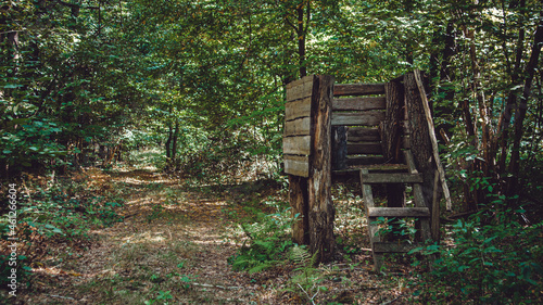 A hunting tower for hunting animals in an overgrown forest. © leanna