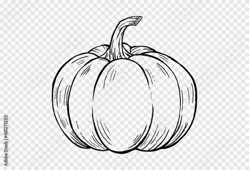 Fotografia Outline pumpkin hand draw with brush style isolated on png or transparent textur
