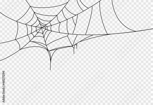 Halloween party background with spiderwebs isolated png or transparent texture,blank space for text,element template for poster,brochures, online advertising,vector illustration