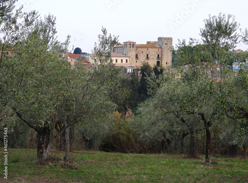 The Castle of Crecchio