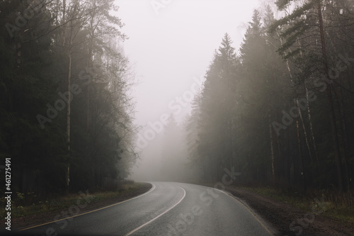 Curving empty asphalt road passing through foggy pine forest. Fog above route. Early morning. Mystic landscape. Travelling by car concept. Road safety. Mood photography.