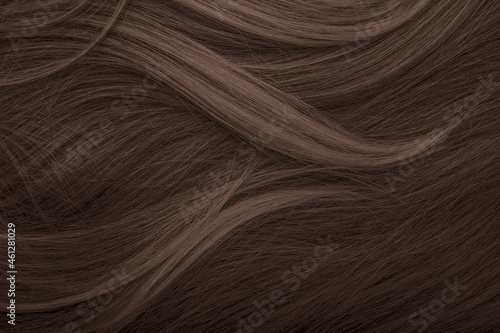 фотографія Brunette or brown hair