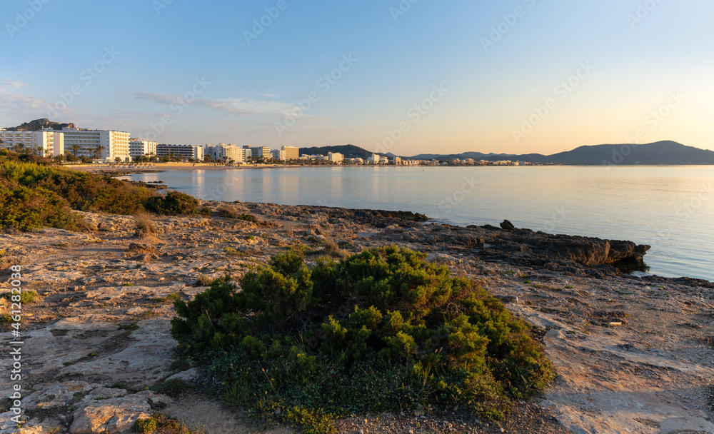 In the morning on the beach in the town of Cala Millor on the east coast of the Spanish Mediterranean island of Mallorca. It's after sunrise. A green bush can be seen in the foreground.