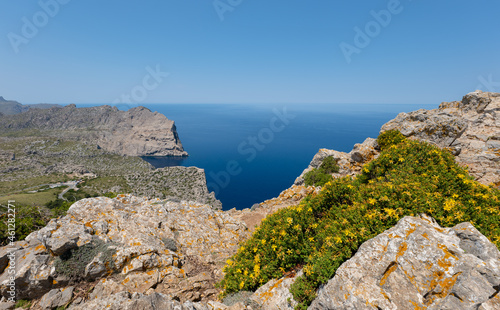 View from the high mountain on the north side of the Formentor peninsula on the Mediterranean island of Mallorca to the sea. In the foreground are yellow flowers. The mountain road can be seen below.