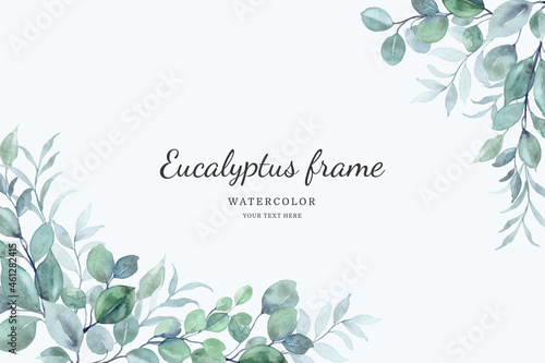 Eucalyptus leaves frame background with watercolor