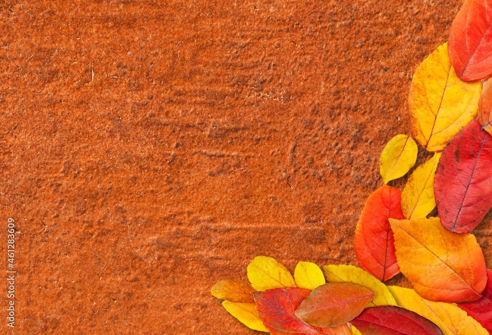 Obraz premium Autumn mood background. Frame made of autumn dried leaves on the desk