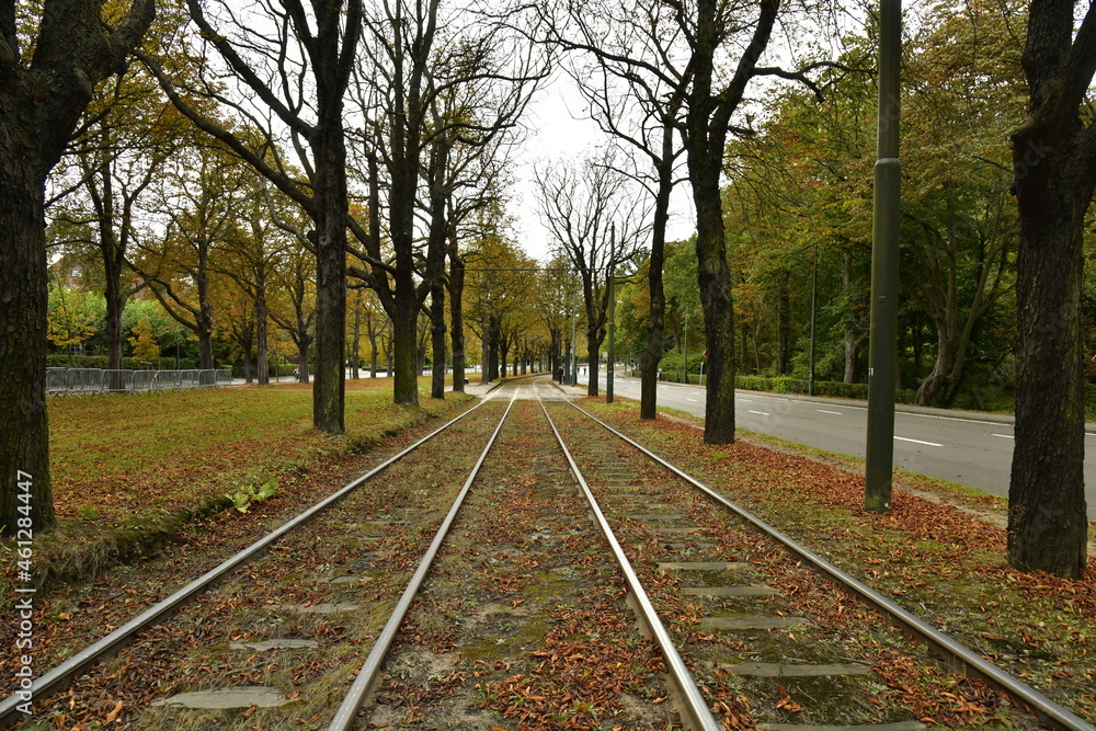 Les rails de tram des lignes 39 et 44 entre un sens de circulation à l'allée verte centrale bordée de marronniers en automne près du parc Parmentier à Woluwe-St-Pierre Les rails de tram des lignes 39 et 44 entre un sens de circulation à l'allée verte centrale bordée de marronniers en automne près du parc Parmentier à Woluwe-St-Pierre