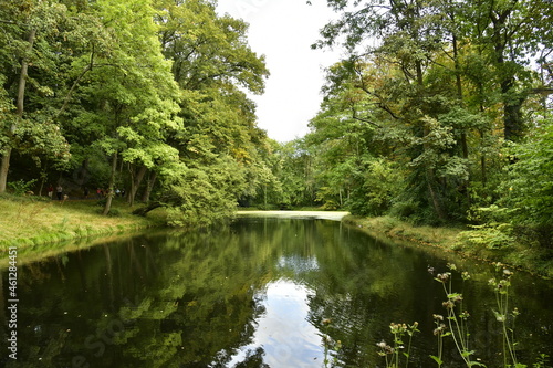 Fototapeta Naklejka Na Ścianę i Meble -  Reflet de la forêt dans l'un des étangs du parc Parmentier à Woluwe-St-Pierre 