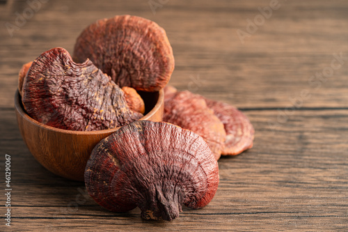 Dried lingzhi mushroom isolated on white background with clipping path.
