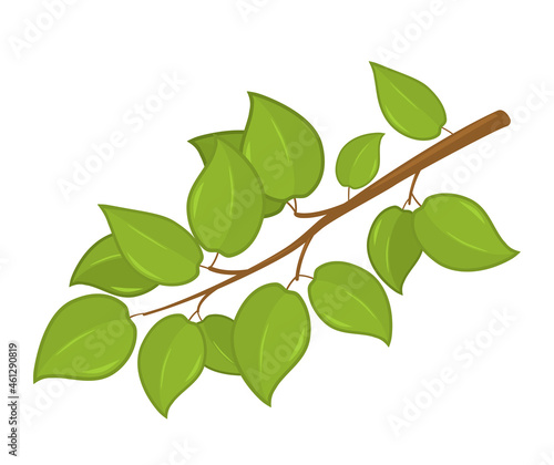branch with green leaves. garden concept. vector illustration © Ольга Погорелова