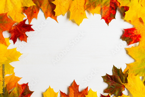 Multi-colored bright maple leaves on a white wooden table top view. Autumn background of red  yellow  orange plants with copy space  postcard and frame from natural material.