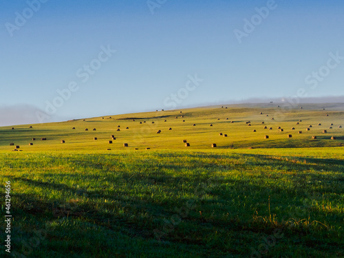 A sloped field in the rays of the rising sun. There are many round haystacks in the field. The field is covered with thick gray fog in places. Copy space.