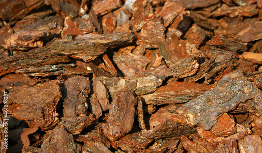 Wooden chip bark pieces which have been shredded for using as soil in gardening. Garden mulch. Timber product. Rough textured background.