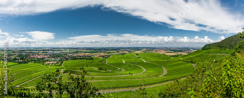 Weinberge im Fränkischen Weinland bei Iphofen