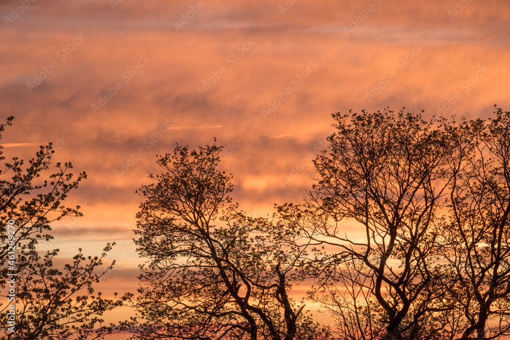 Sunset red sky with clouds horizontal background Sunset red sky with clouds horizontal background