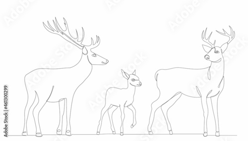 deer drawing by one continuous line  vector