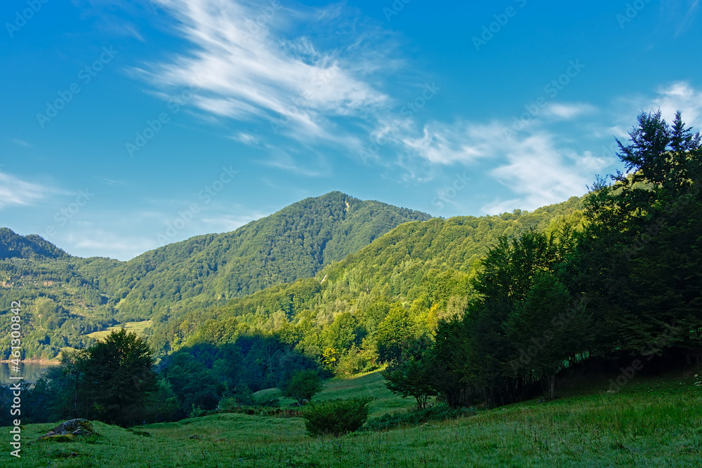 Mountains with green forests on a sunny summer morning, in the Romanian countryside neat Gura Sirului, Buzau, Transylvania, Romania 