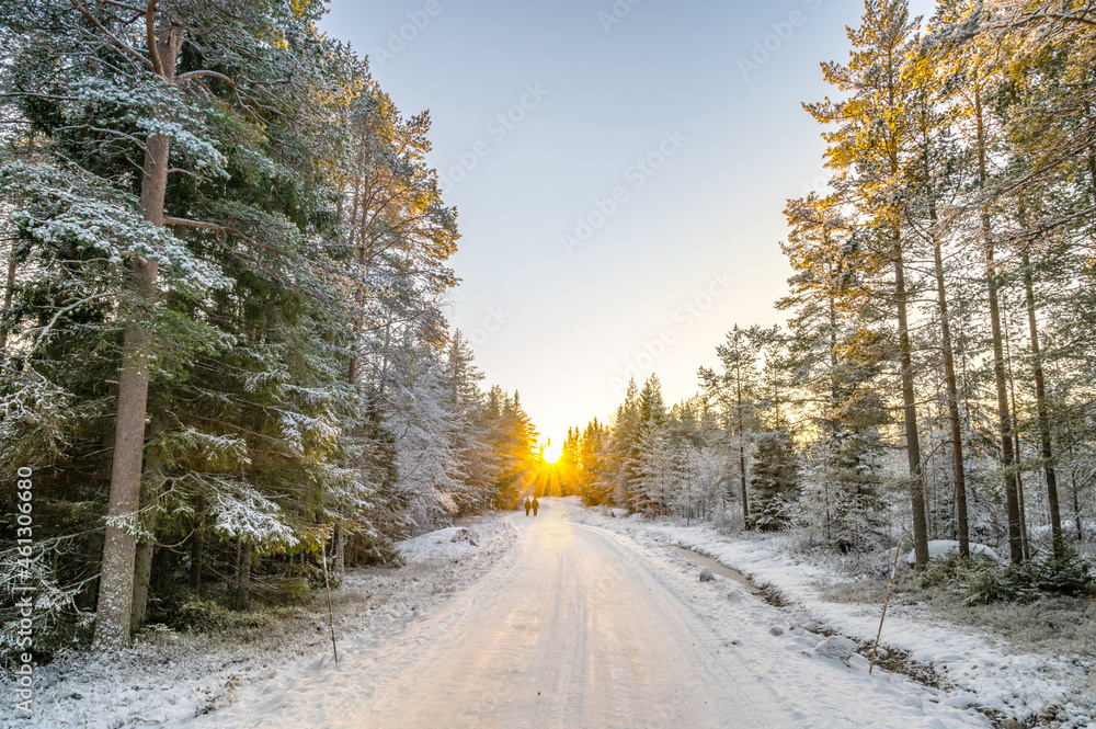 A calm tranquil view of the snow covered trees in the snowdrifts and beautiful sunset. A beautiful woman in coloured jacket walking through the Magical winter forest. A calm tranquil view of the snow covered trees in the snowdrifts and beautiful sunset. A beautiful woman in coloured jacket walking through the Magical winter forest.