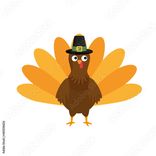 turkey animal icon