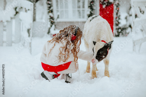 Beautiful teen girl in red and white winter clothes posing with small bull on a farm with Christmas decor. Snowing a lot. Holiday concept. © Alina