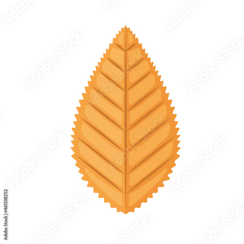 autumn leaf icon