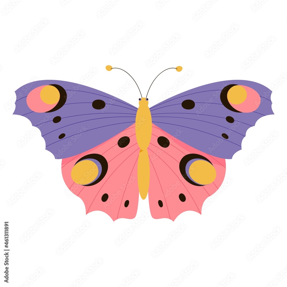 Vector illustration of a butterfly Vector illustration of a butterfly