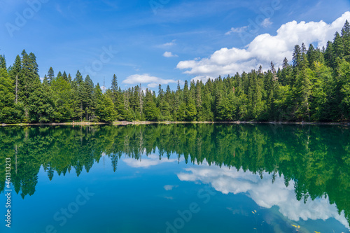 Fototapeta Naklejka Na Ścianę i Meble -  Mountain lake surrounded by dense coniferous and beech forest. Montenegro, Europe